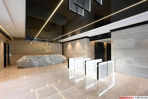 Barrisol Light Lines