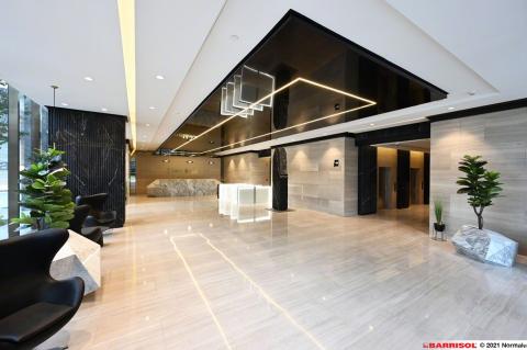 Barrisol Light Lines