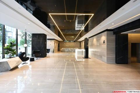 Barrisol Light Lines