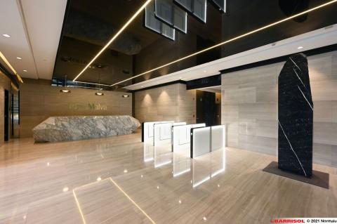 Barrisol Light Lines