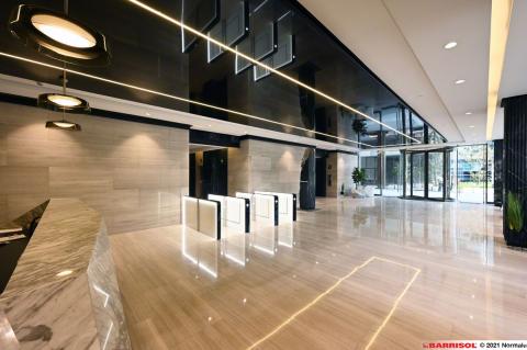 Barrisol Light Lines