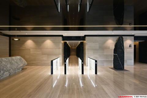 Barrisol Light Lines