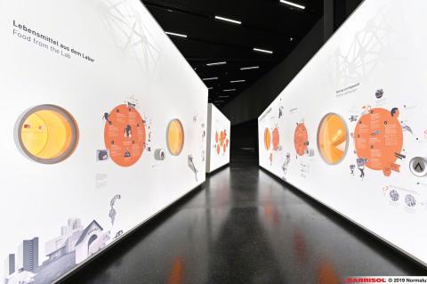 Museographie - murs imprimés lumineux Barrisol