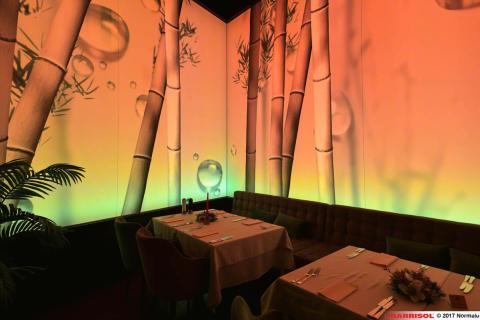 Mur imprimé lumineux Barrisol