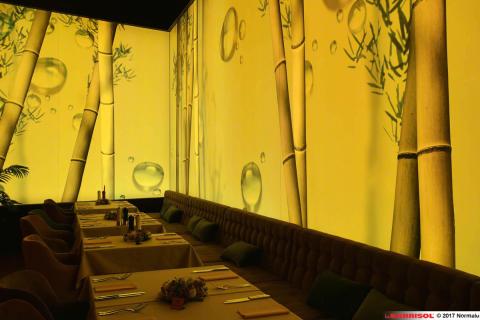 Mur imprimé lumineux Barrisol