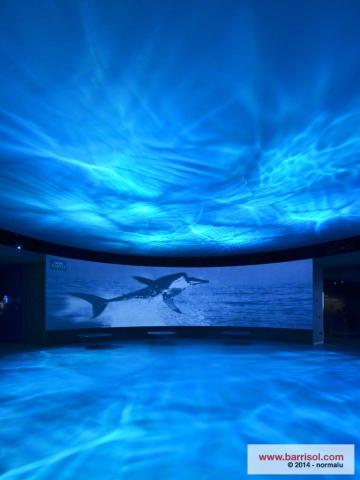 Projections lumineuses sur toile Barrisol