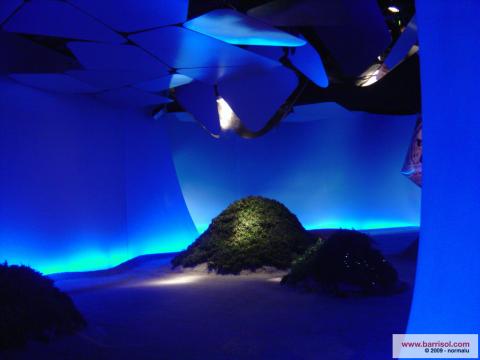 Projections lumineuses sur toile Barrisol