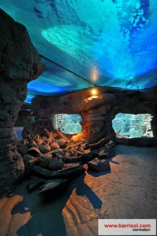 Plafond lumineux imprimé Barrisol Lumière - espace aquatique