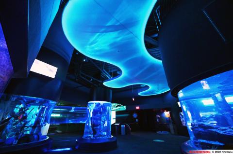 Formes 3D lumineuses Barrisol Lumiere