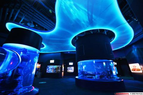 Formes 3D lumineuses Barrisol Lumiere
