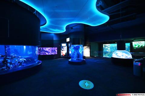 Formes 3D lumineuses Barrisol Lumiere