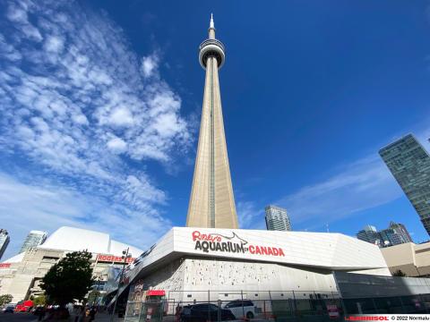 Ripleys Aquarium