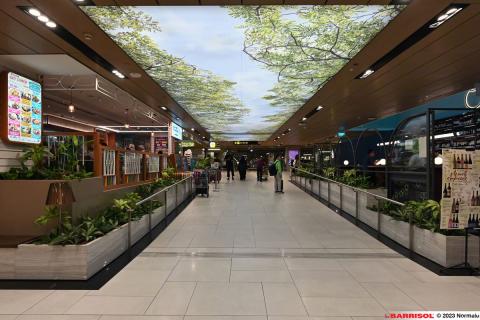 Plafond lumineux Barrisol Lumière - Changi Airport