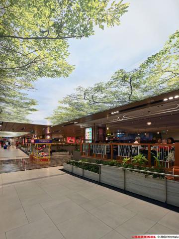 Plafond lumineux Barrisol Lumière - Changi Airport