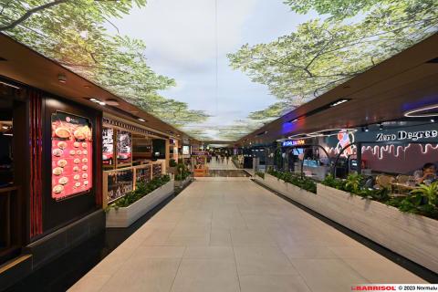Plafond lumineux Barrisol Lumière - Changi Airport