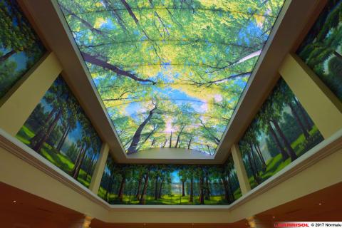 Plafond Barrisol Lumière imprimé thématique forêts