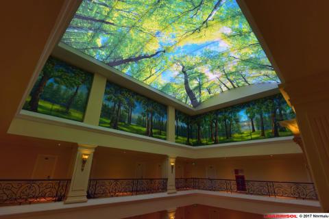 Plafond Barrisol Lumière imprimé thématique forêts