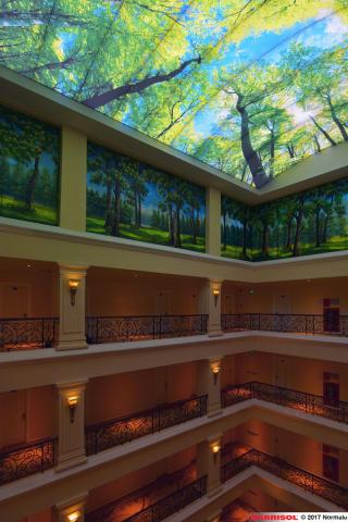 Plafond Barrisol Lumière imprimé thématique forêts