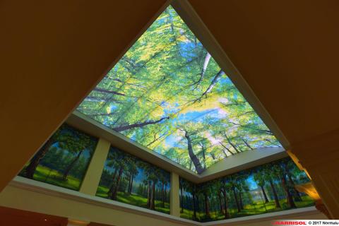 Plafond Barrisol Lumière imprimé thématique forêts