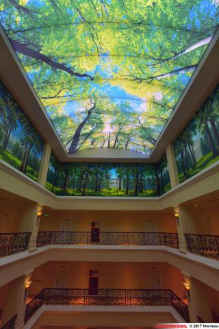 Plafond Barrisol Lumière imprimé thématique forêts