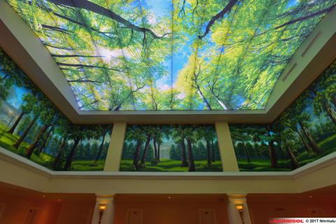 Plafond Barrisol Lumière imprimé thématique forêts