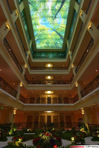 Plafond Barrisol Lumière imprimé thématique forêts