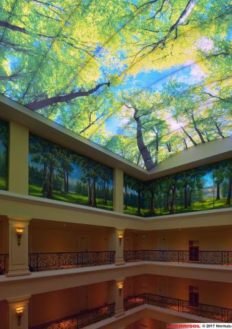 Plafond Barrisol Lumière imprimé thématique forêts