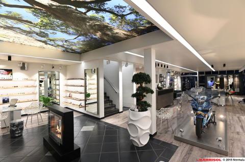 Plafond lumineux Barrisol Lumière imprimé - thème arbres