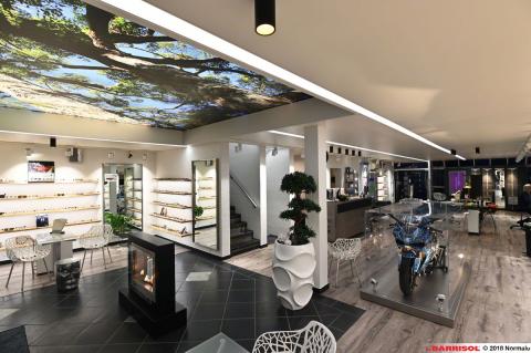 Plafond lumineux Barrisol Lumière imprimé - thème arbres