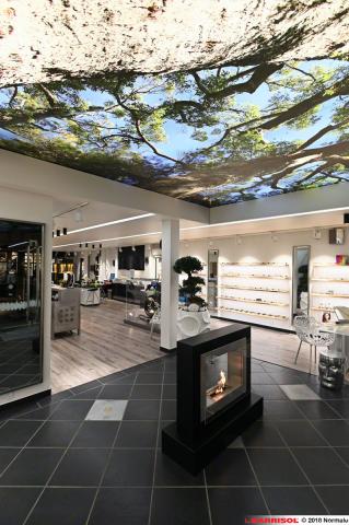 Plafond lumineux Barrisol Lumière imprimé - thème arbres