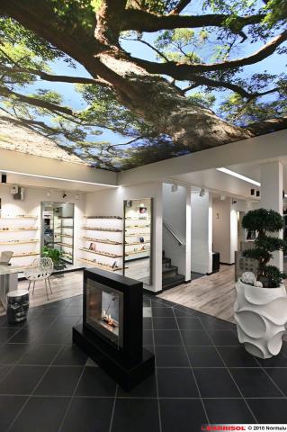 Plafond lumineux Barrisol Lumière imprimé - thème arbres