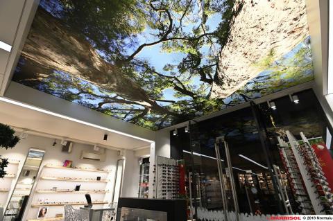 Plafond lumineux Barrisol Lumière imprimé - thème arbres