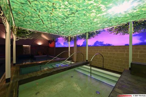 Plafond et murs imprimés Barrisol Lumière