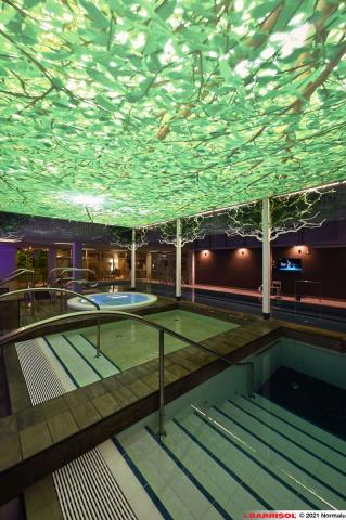 Plafond imprimé Barrisol Lumière - feuillages