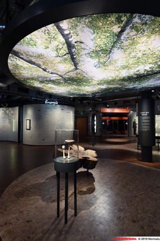 Plafond lumineux Barrisol Lumière print