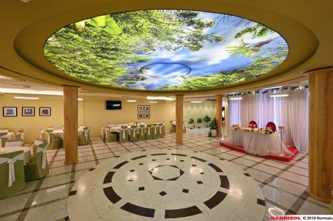 Plafond lumineux imprimé Barrisol Lumière