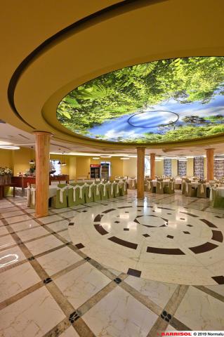 Plafond lumineux imprimé Barrisol Lumière