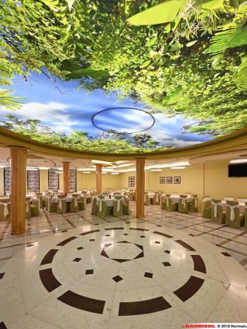 Plafond lumineux imprimé Barrisol Lumière