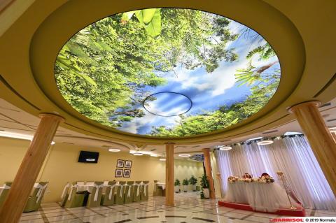 Plafond lumineux imprimé Barrisol Lumière