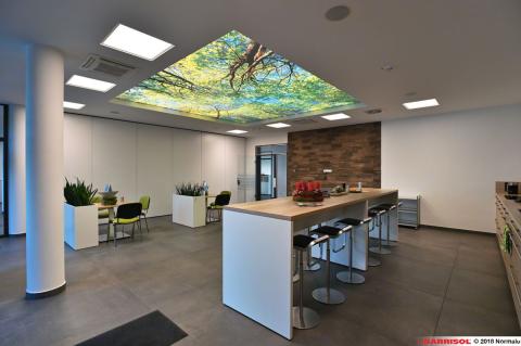 Plafond lumineux Barrisol Lumière imprimé, thématique forêt