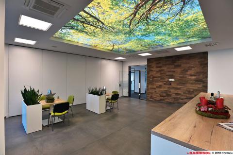 Plafond lumineux Barrisol Lumière imprimé, thématique forêt