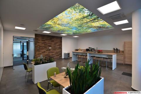 Plafond lumineux Barrisol Lumière imprimé, thématique forêt