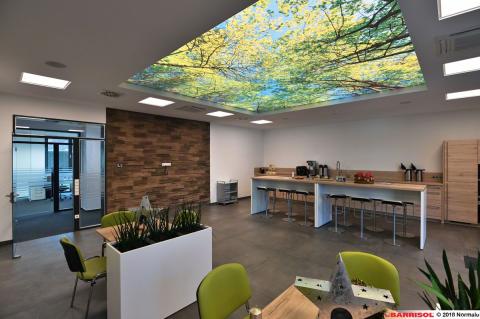 Plafond lumineux Barrisol Lumière imprimé, thématique forêt