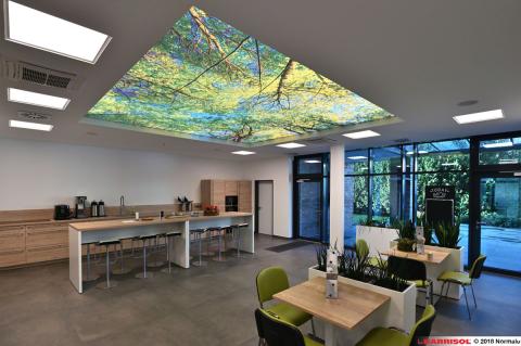 Plafond lumineux Barrisol Lumière imprimé, thématique forêt