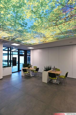 Plafond lumineux Barrisol Lumière imprimé, thématique forêt