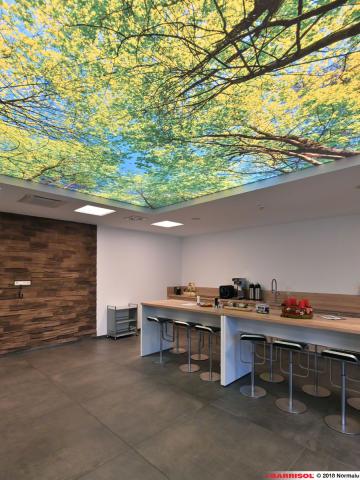Plafond lumineux Barrisol Lumière imprimé, thématique forêt