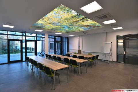 Plafond lumineux Barrisol Lumière imprimé, thématique forêt