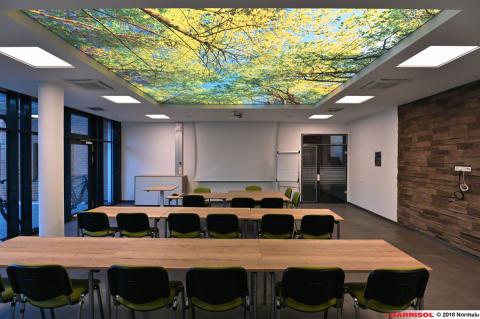 Plafond lumineux Barrisol Lumière imprimé, thématique forêt