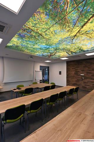Plafond lumineux Barrisol Lumière imprimé, thématique forêt
