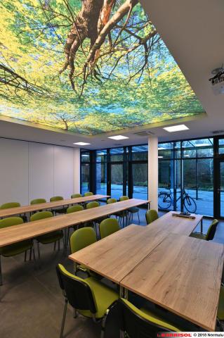 Plafond lumineux Barrisol Lumière imprimé, thématique forêt